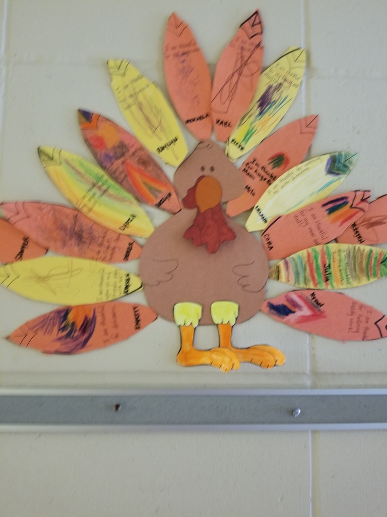 turkeys 2021